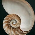 10034