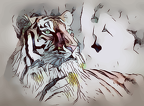 tiger-4400280