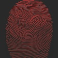 A0006
